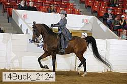 14buck_2124 proof