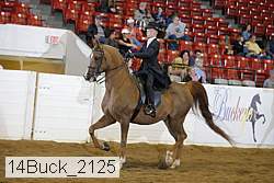 14buck_2125 proof