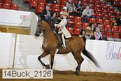 14buck_2126 proof