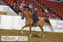 14buck_2127 proof