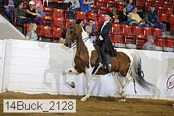 14buck_2128 proof