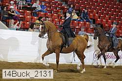 14buck_2131 proof