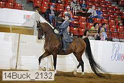 14buck_2132 proof