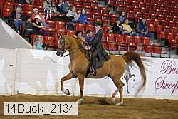 14buck_2134 proof