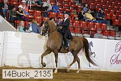14buck_2135 proof