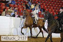 14buck_2137 proof