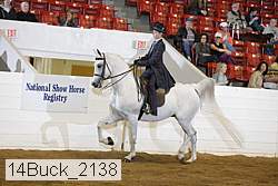 14buck_2138 proof