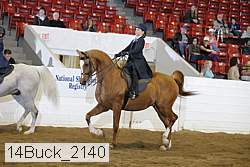 14buck_2140 proof