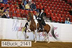 14buck_2141 proof