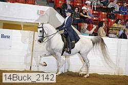 14buck_2142 proof