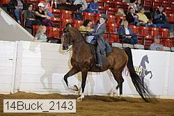 14buck_2143 proof
