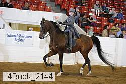 14buck_2144 proof