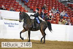 14buck_2146 proof