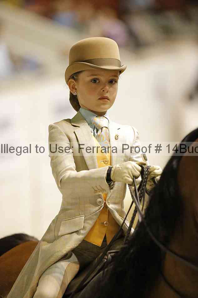 Proof 14buck_2185