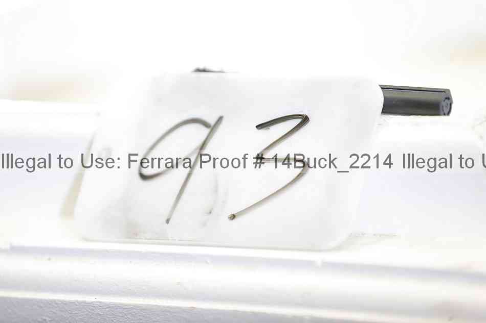 Proof 14buck_2214