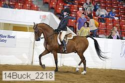 14buck_2218 proof