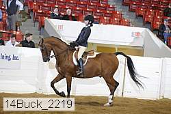 14buck_2219 proof