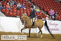 14buck_2221 proof