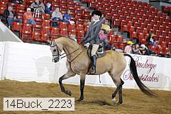 14buck_2223 proof