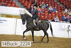 14buck_2224 proof