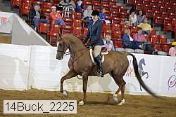 14buck_2225 proof