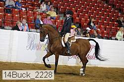 14buck_2228 proof