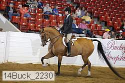 14buck_2230 proof