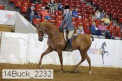 14buck_2232 proof