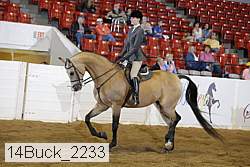 14buck_2233 proof