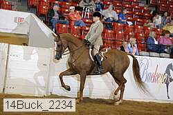 14buck_2234 proof