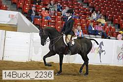 14buck_2236 proof