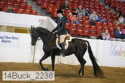 14buck_2238 proof
