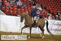 14buck_2239 proof