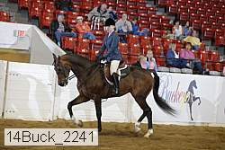 14buck_2241 proof