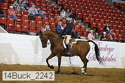 14buck_2242 proof