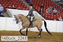 14buck_2243 proof