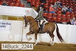 14buck_2244 proof