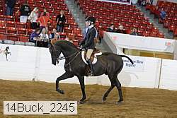 14buck_2245 proof