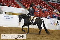 14buck_2246 proof
