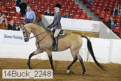 14buck_2248 proof