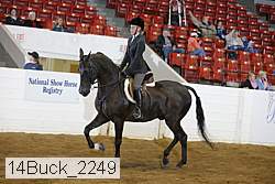 14buck_2249 proof