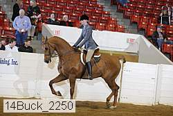 14buck_2250 proof