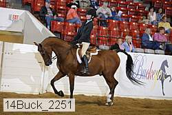 14buck_2251 proof