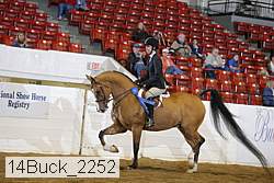 14buck_2252 proof