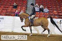 14buck_2253 proof