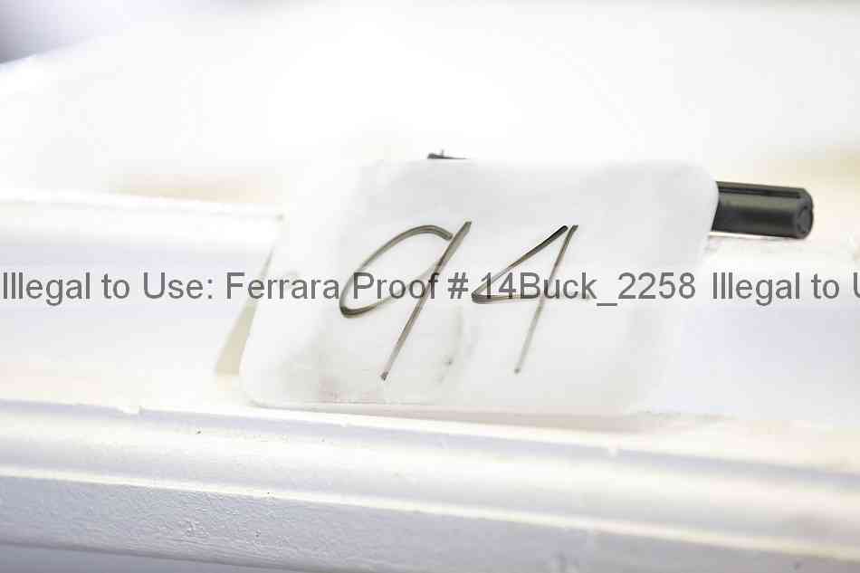Proof 14buck_2258