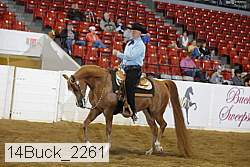 14buck_2261 proof