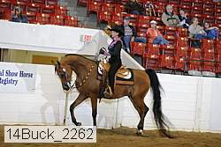 14buck_2262 proof