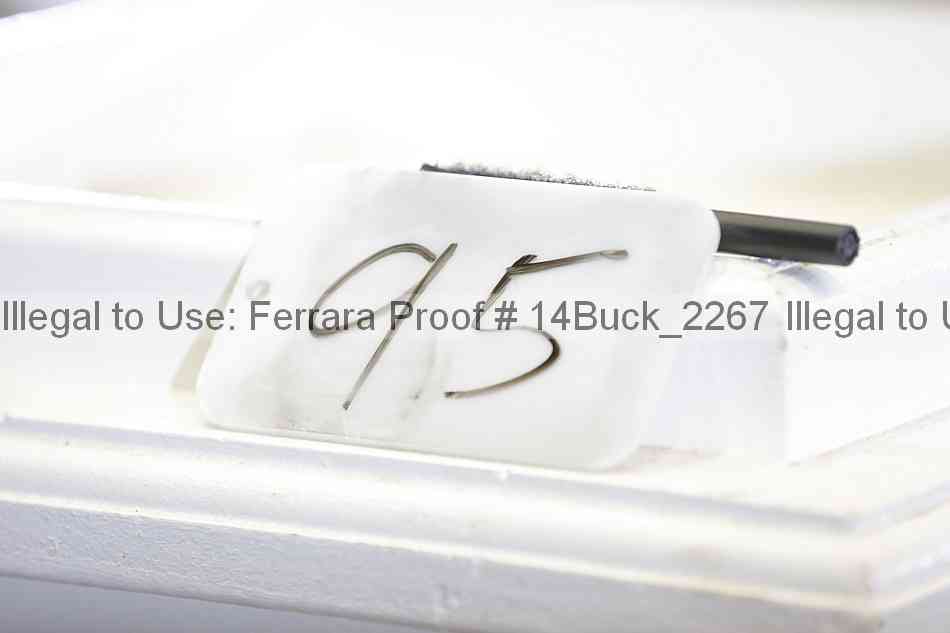 Proof 14buck_2267