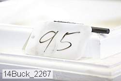 14buck_2267 proof